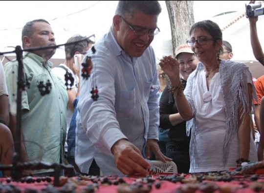 Elías Jaua
