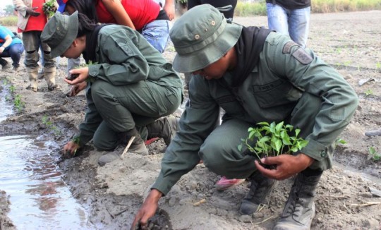 Plan de desarrollo agrícola