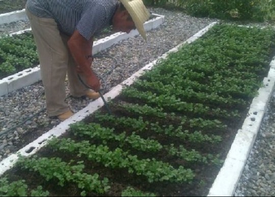 Agricultura
