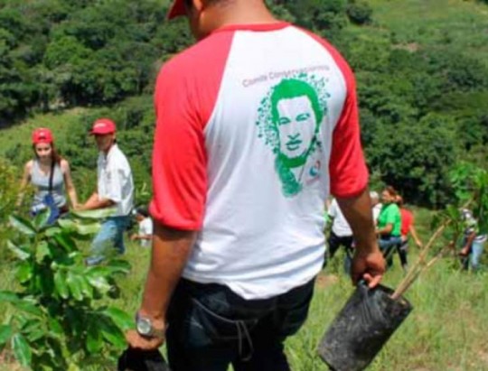 Brigadistas