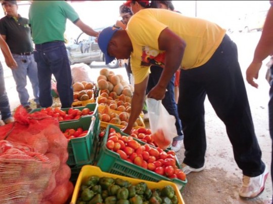 Verduras