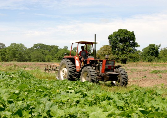 49-Tractor3-Grande