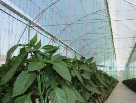 Agricultores