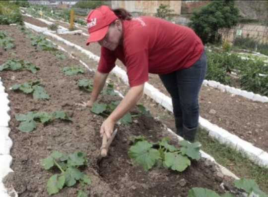 Cantv agroproductivo