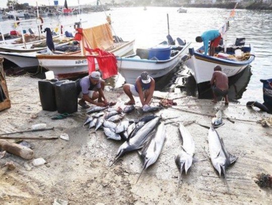 Día del pescador