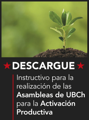 Instructivo 