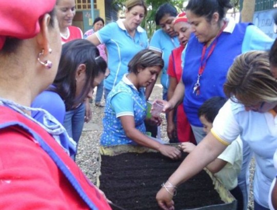 Planteles educativos