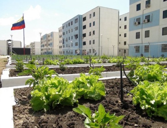 Agricultura Urbana