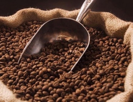 Café