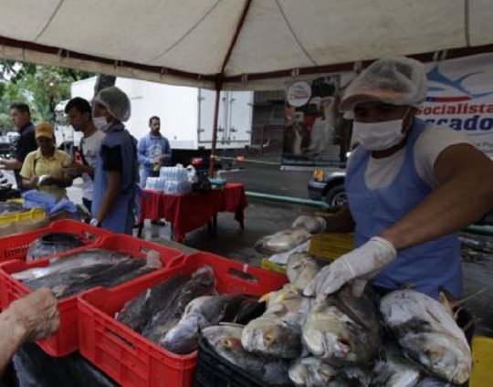 Feria de pescado