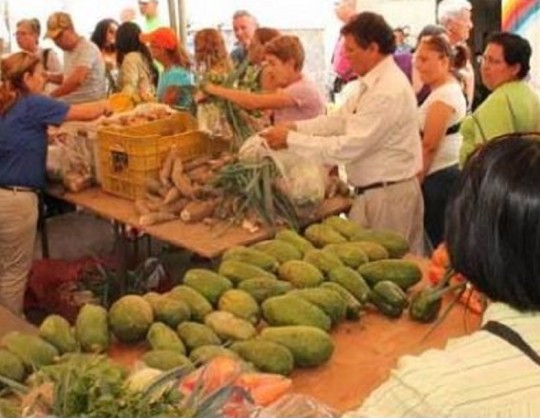 Fiesta de las hortalizas