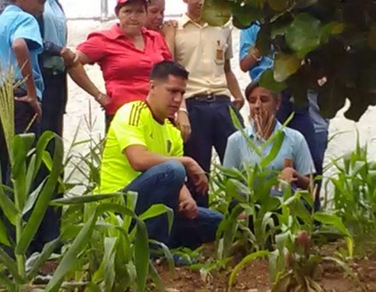 Mervin Maldonado