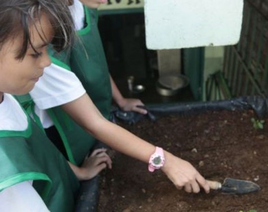 Escuelas productivas