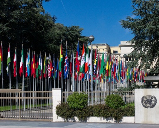 OEA