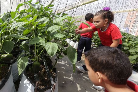 Producción