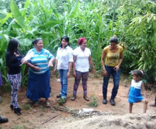 Agricultura Urbana