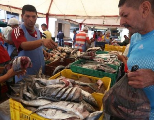 Este fin de semana se distribuyen 114 toneladas de pescado en todo el territorio nacional, como parte de la Feria Socialista de Pescado, que impulsa el Gobierno Nacional, indicó este sábado el ministro para la Pesca y la Acuicultura, Ángel Belisario.