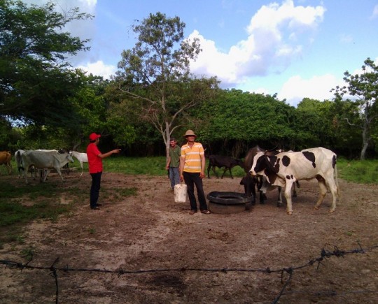 Pequeños productores
