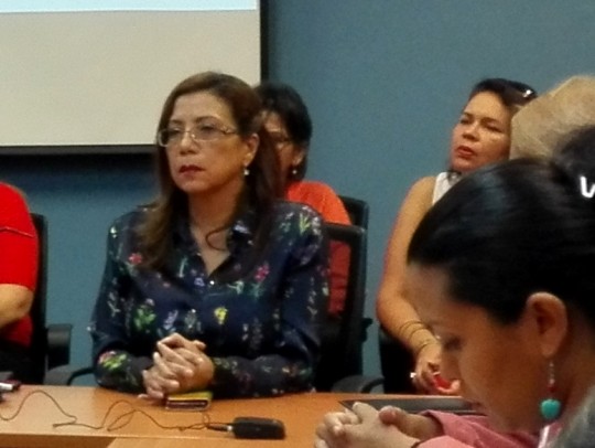 Foto: Prensa PSUV