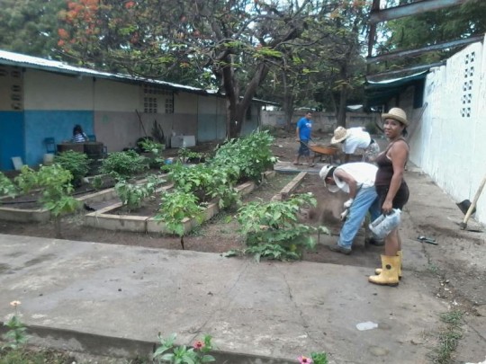 Patio Productivo