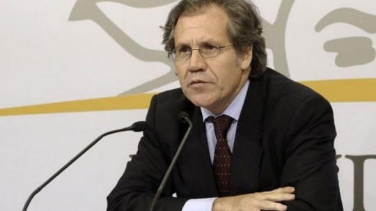 Foto: Lechuguinos.com