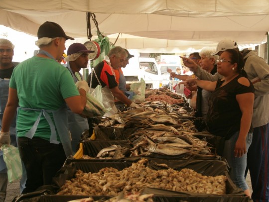 Foto: Referencial