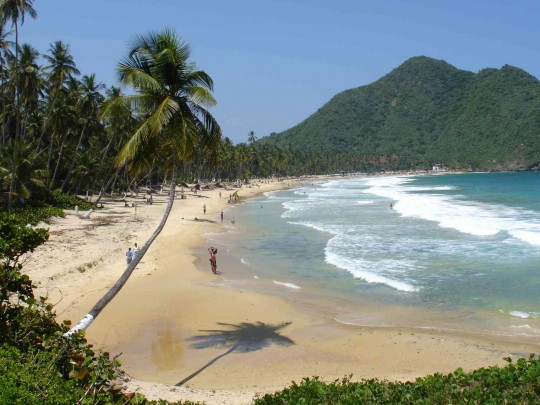 Parque-nacional-henry-pittier