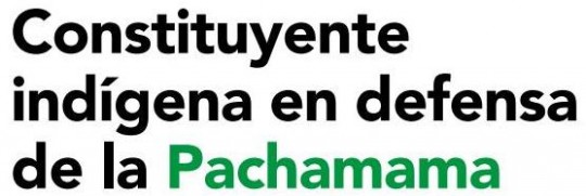 Constituyente Indigena2