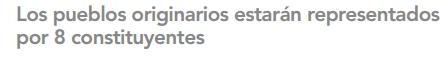Constituyente Indigena3