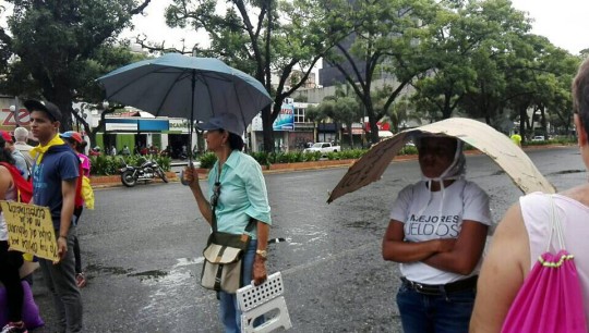 Plantón