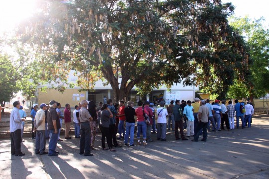 Falcón