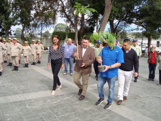 Carrizal
