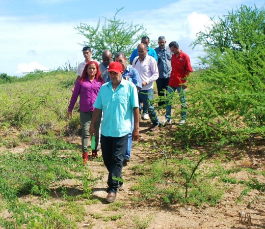Producción