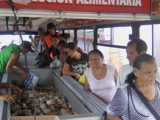 apure