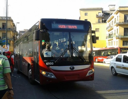 ruta