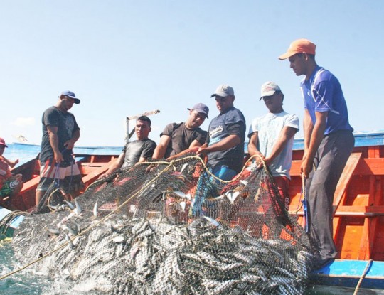 pescadores (1)
