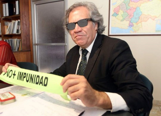 Foto: PSUV Miranda