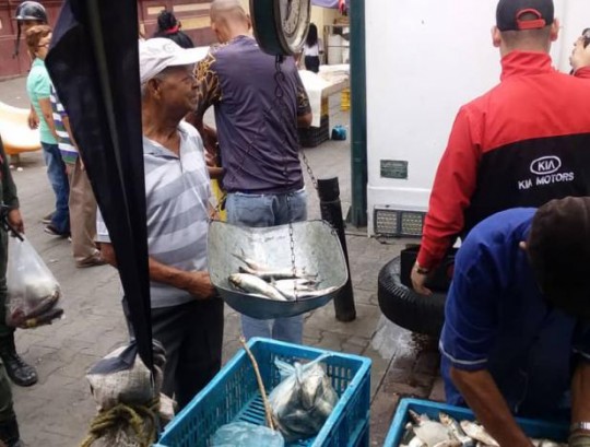 venta de pescado