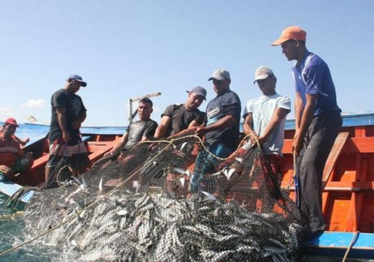 pesca