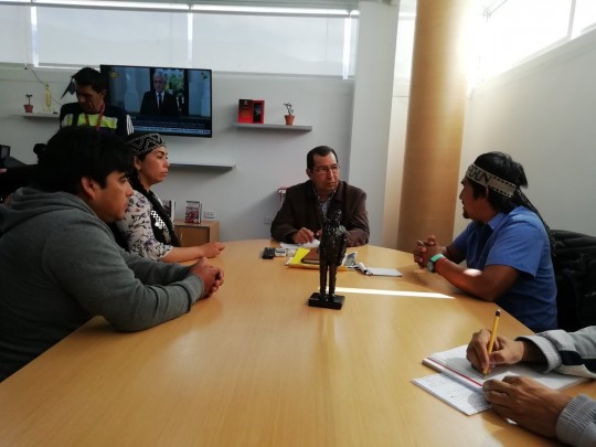Mapuche