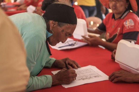 firmas