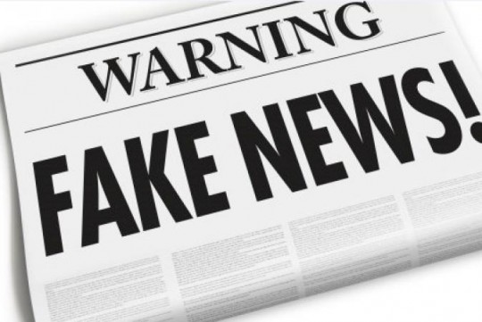 fake