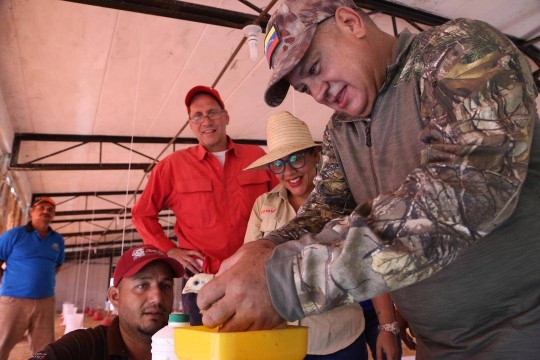 PSUV