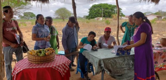 Pueblos indígenas