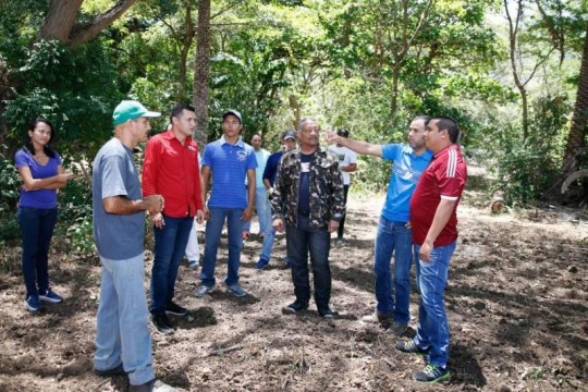 Nueva Esparta 