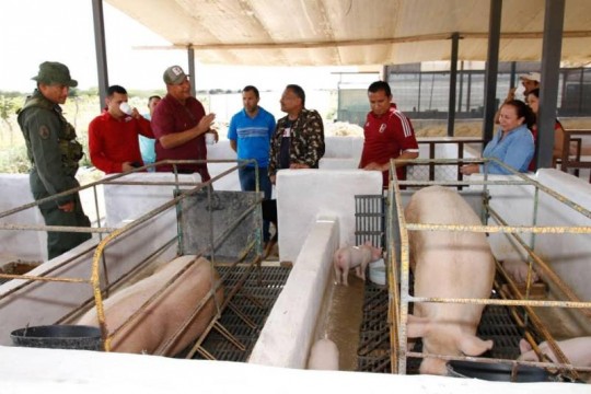 Nueva Esparta 