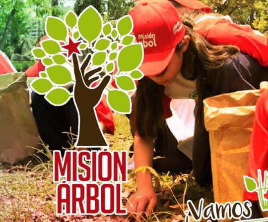 arbol