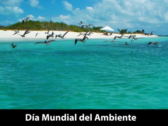 paisaje