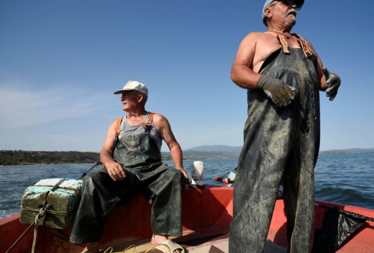 pesca